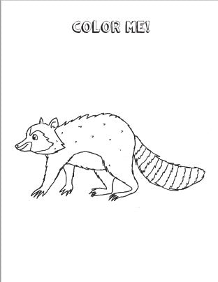 (Age 5+) 100 Words To Read, Write, Spell & Draw