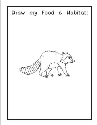 (Age 5+) 100 Words To Read, Write, Spell & Draw