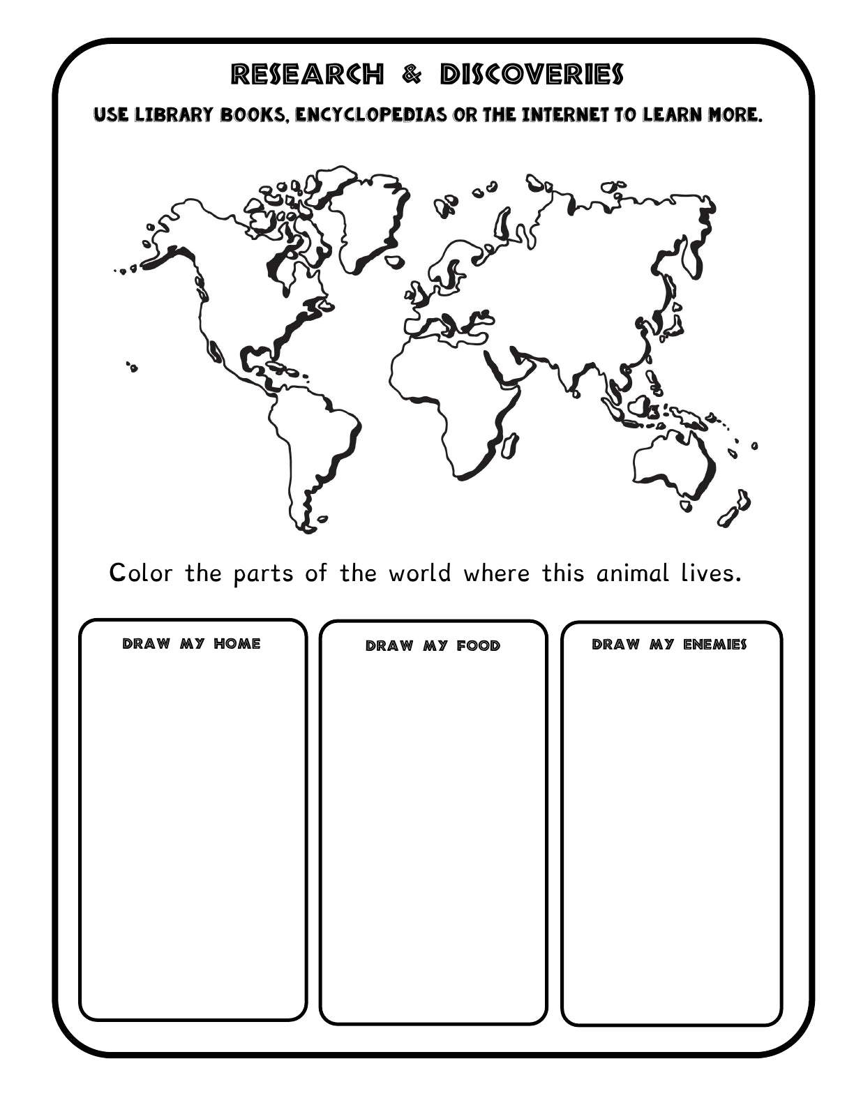 (Age 9+) Homeschooling with Dolphins