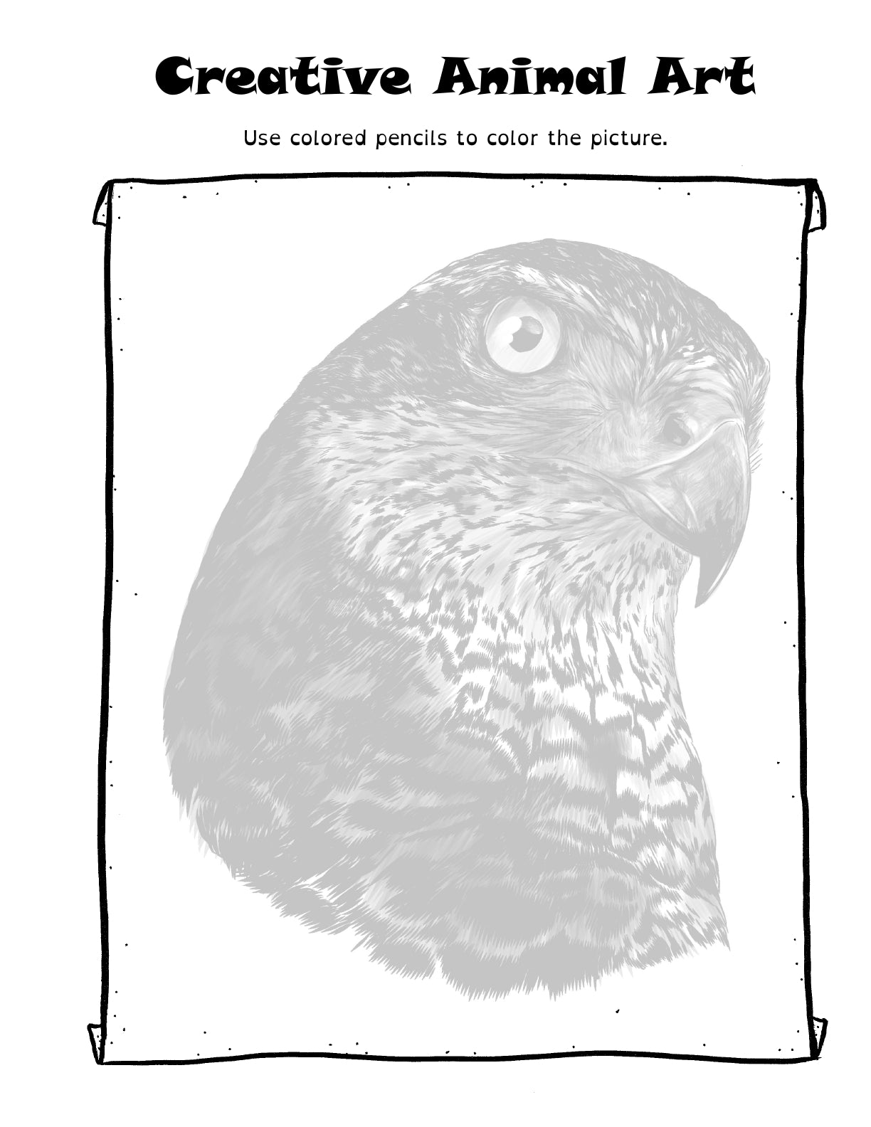 (Age 9+) The Animal Lover's Fun-Schooling Journal