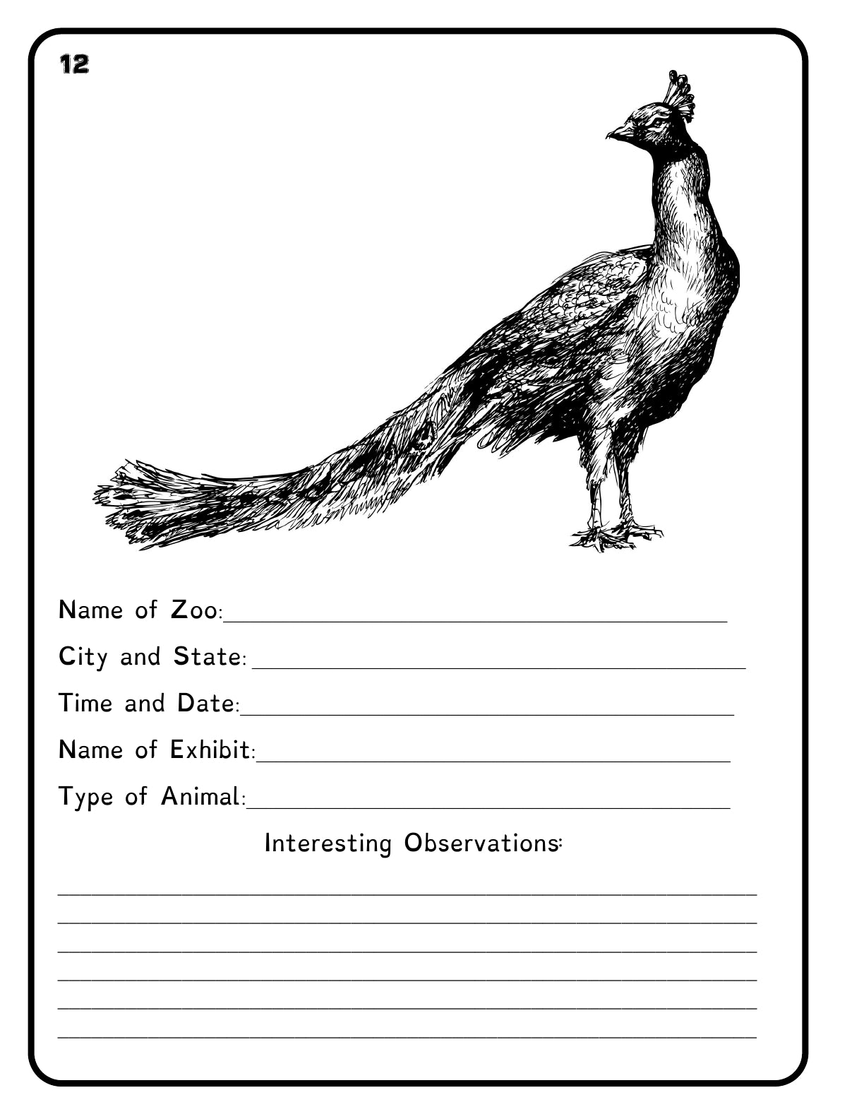 (Age 7+) Field Trip Zoo - Adventure Journal