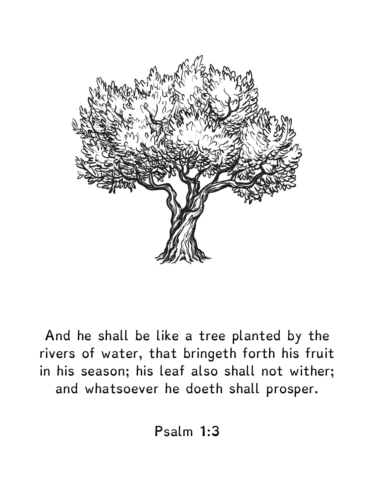 (Age 12+) A Treasury of Psalms & Proverbs