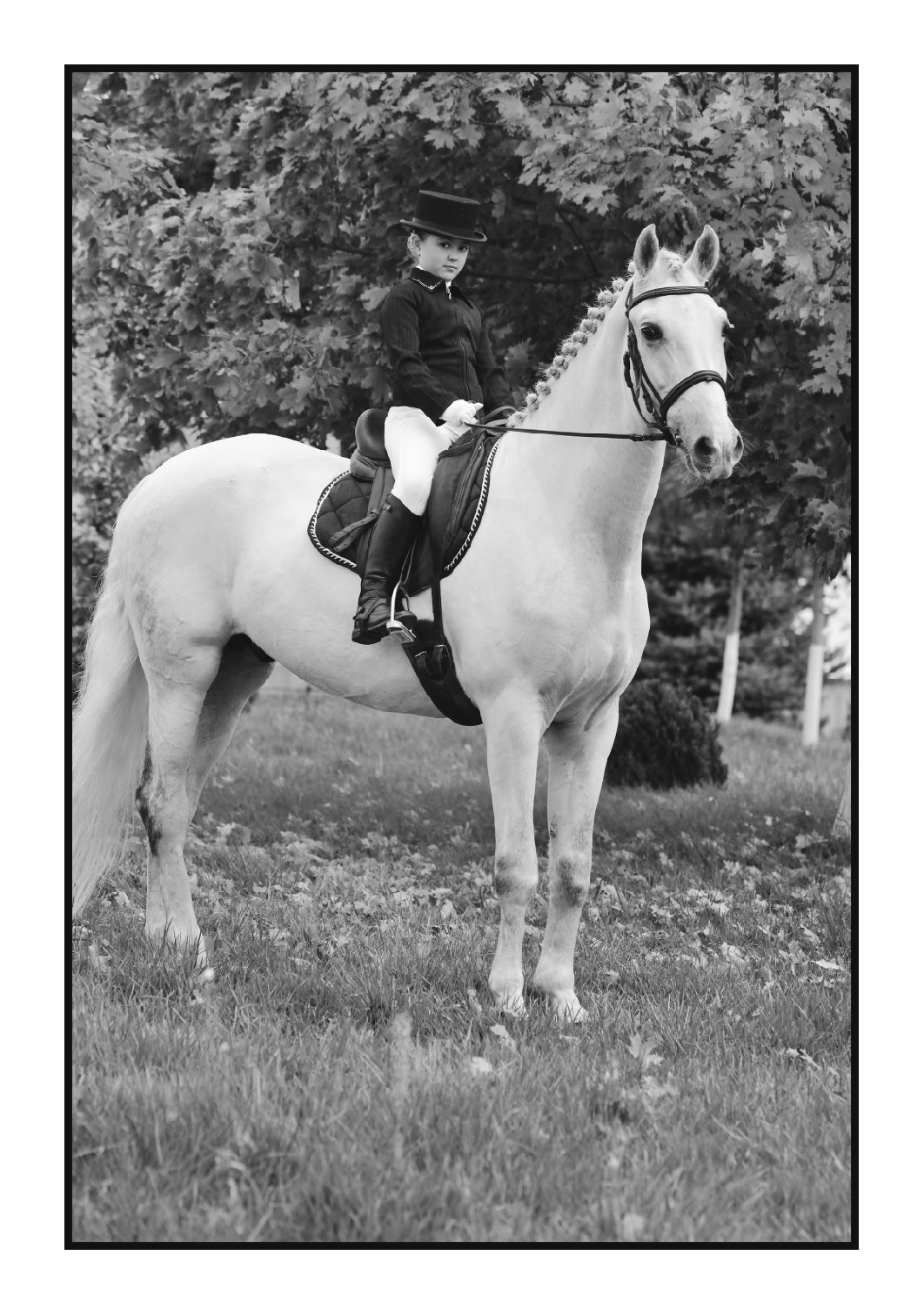 (Age 8+) Horse Dreams - Fun-Schooling Journal: 180 Learning Games