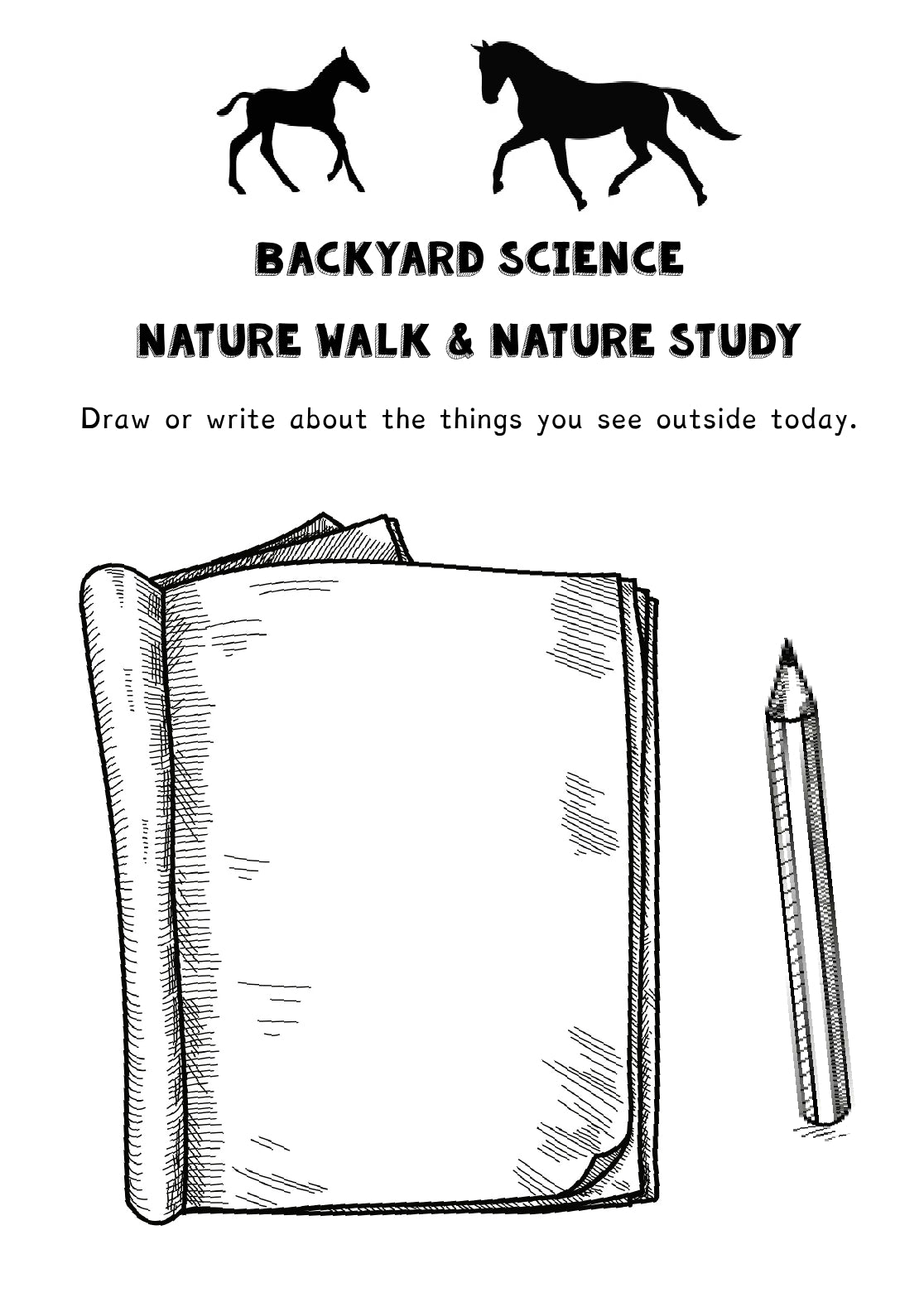 (Age 8+) Horse Dreams - Fun-Schooling Journal: 180 Learning Games