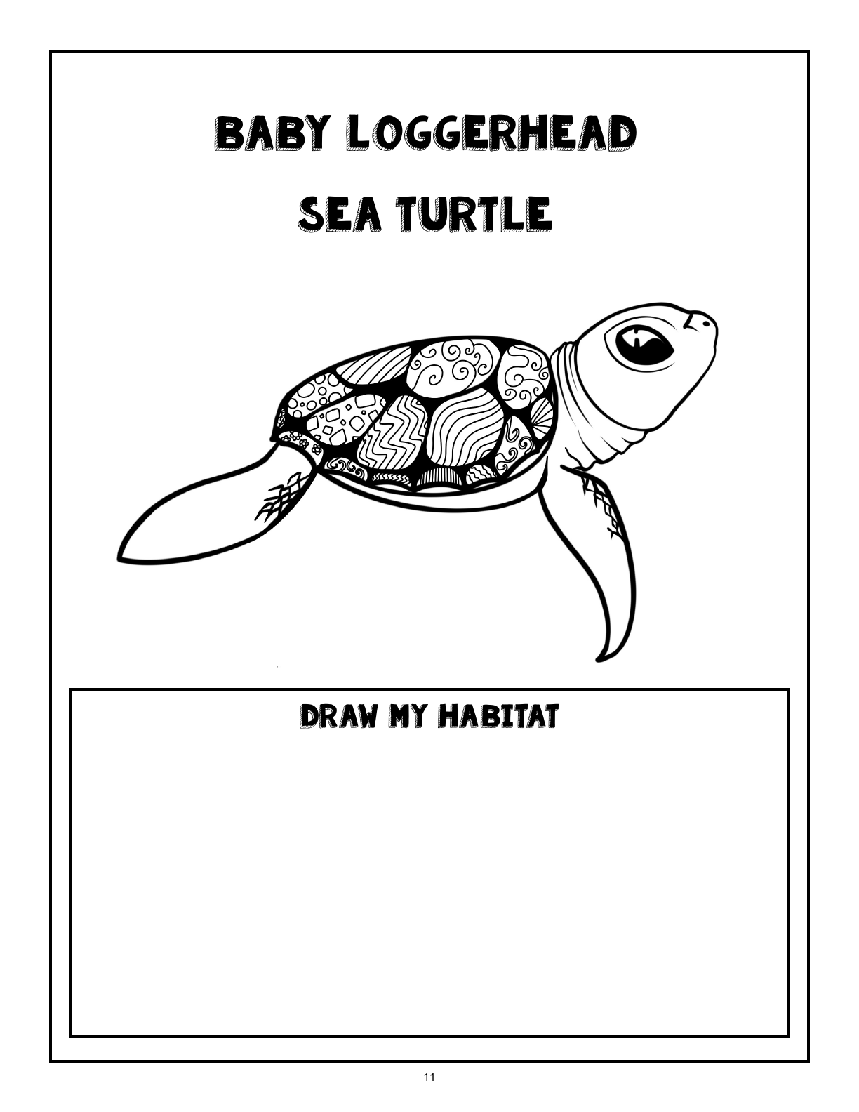 (Age 7+) Fun-Schooling with Reptiles & Amphibians
