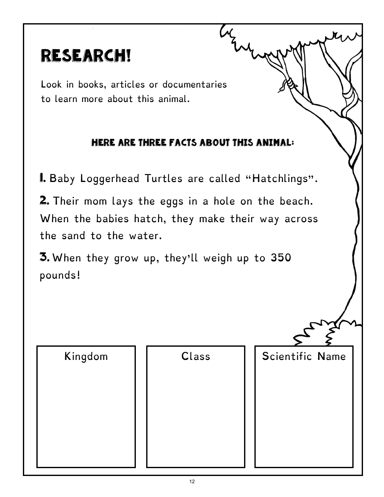 (Age 7+) Fun-Schooling with Reptiles & Amphibians