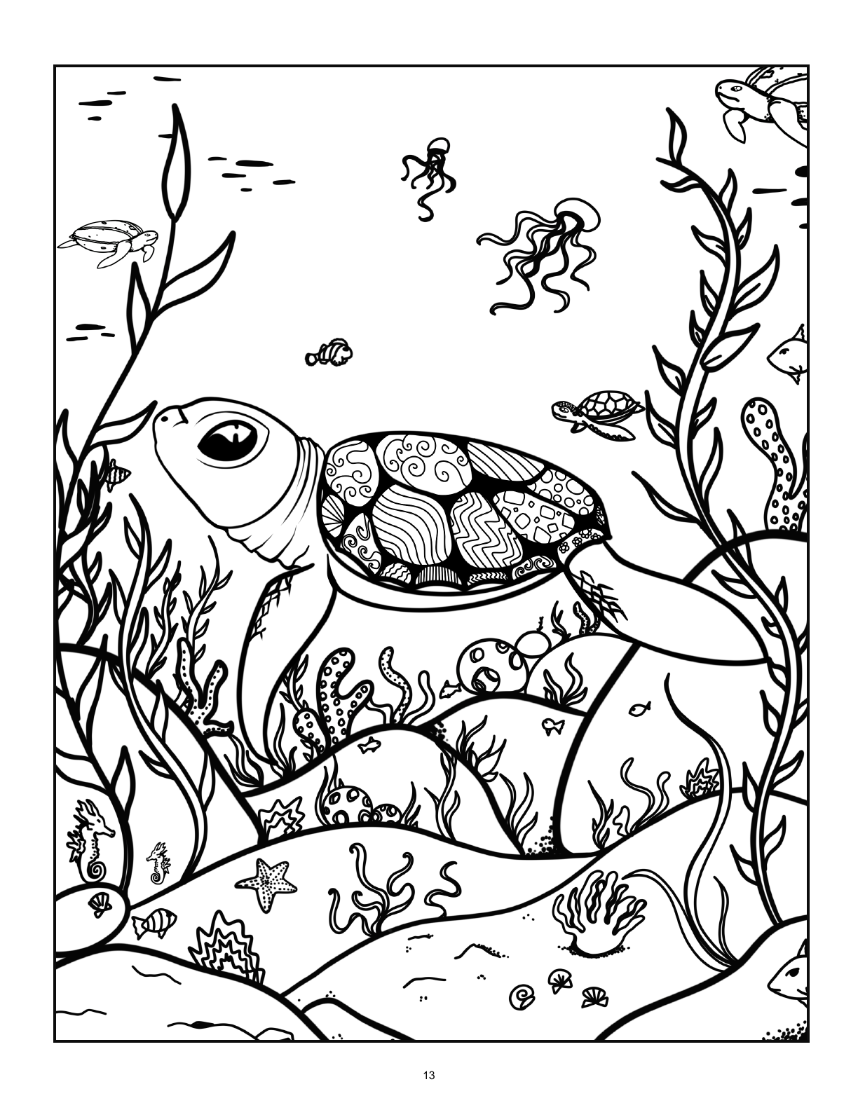 (Age 7+) Fun-Schooling with Reptiles & Amphibians