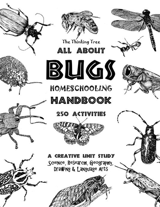(Age 8+) All About Bugs - Homeschooling Handbook