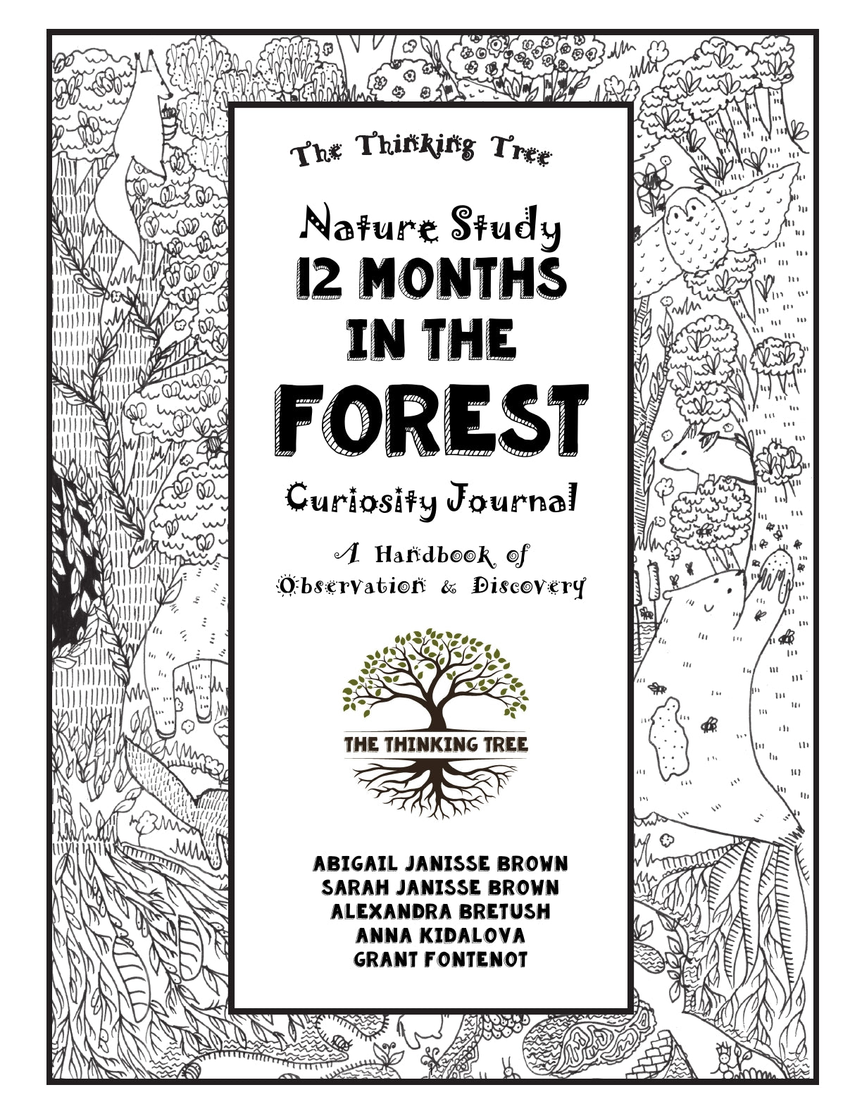 (Age 8+) 12 Months in the Forest