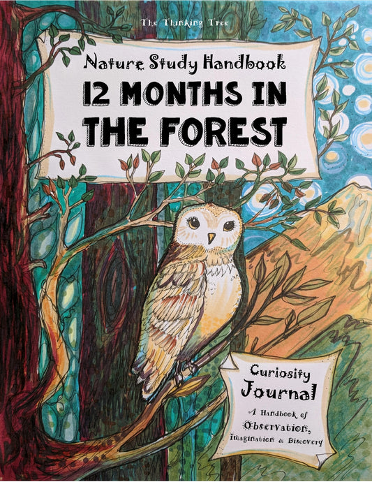 (Age 8+) 12 Months in the Forest