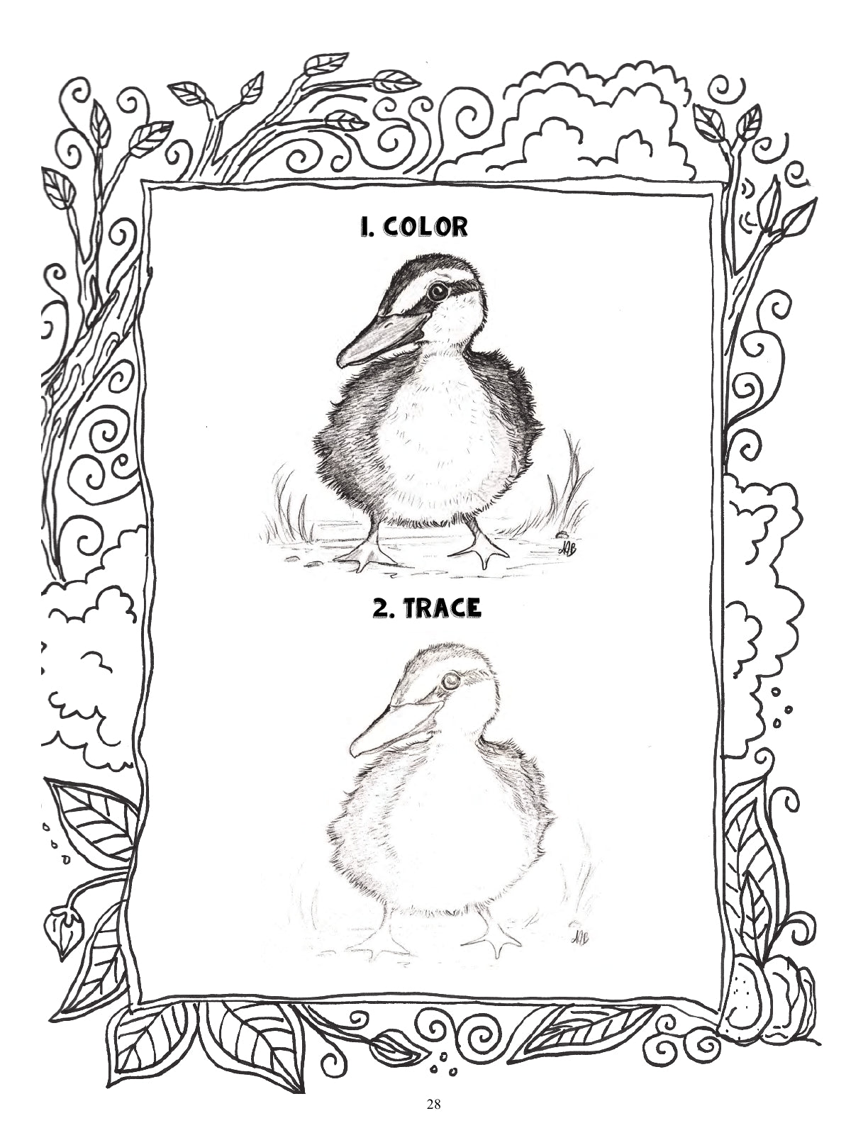 (Age 8+) Nature Study & Outdoor Science