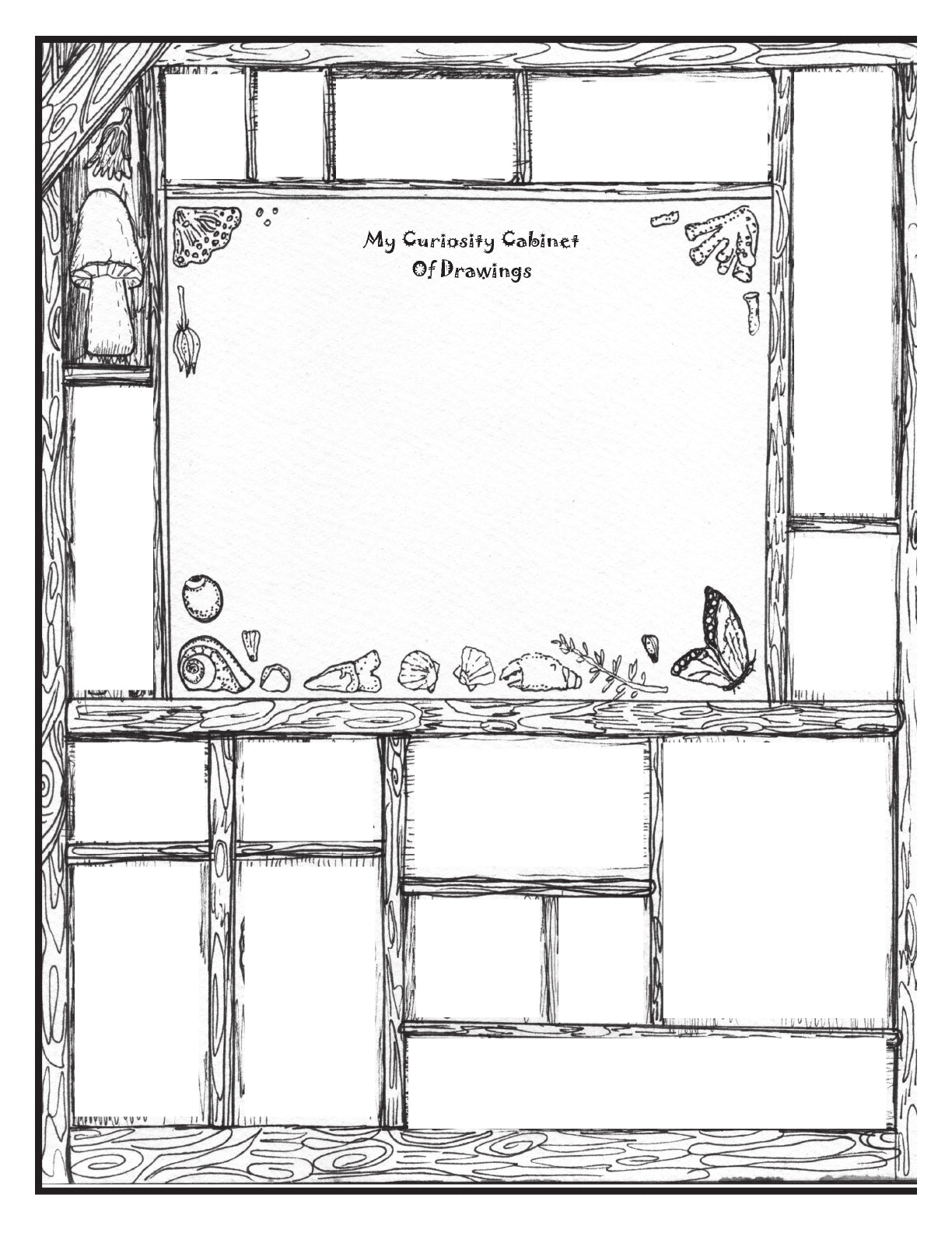 (Age 8+) 12 Months in the Forest