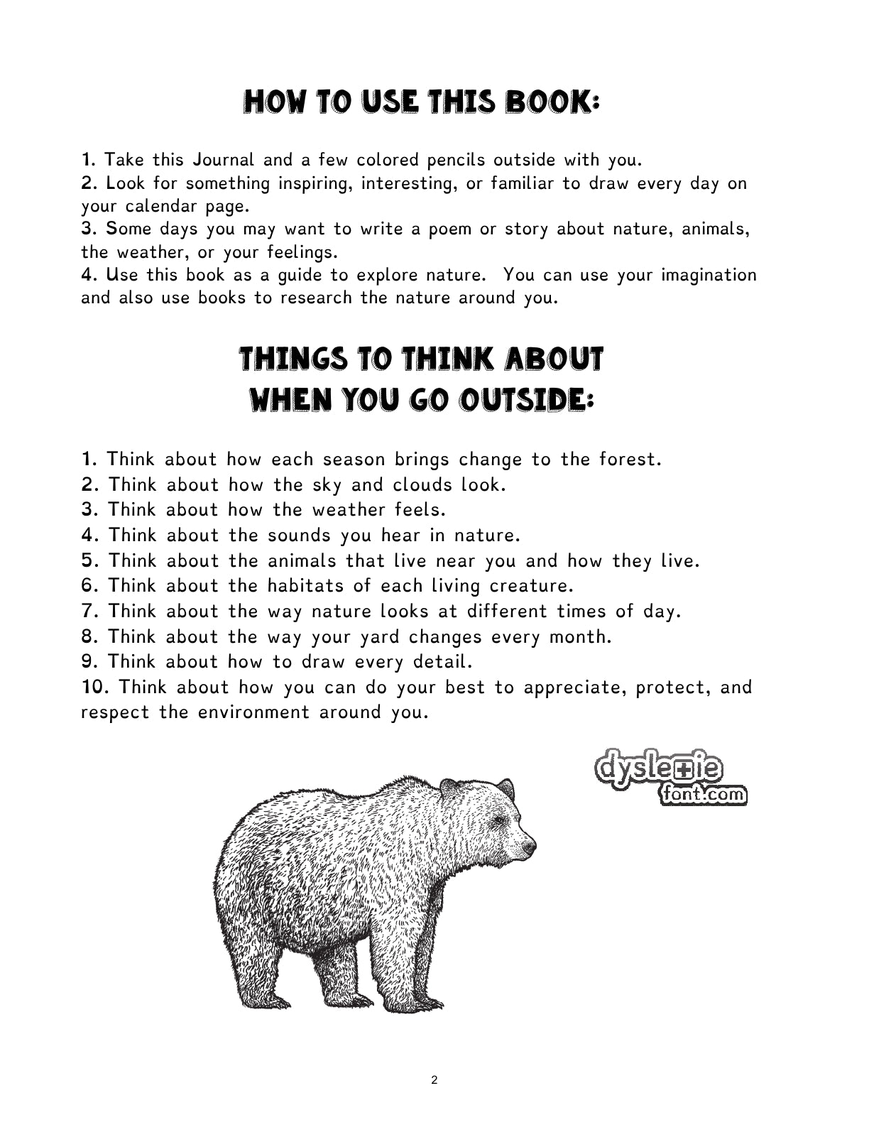 (Age 8+) 12 Months in the Forest