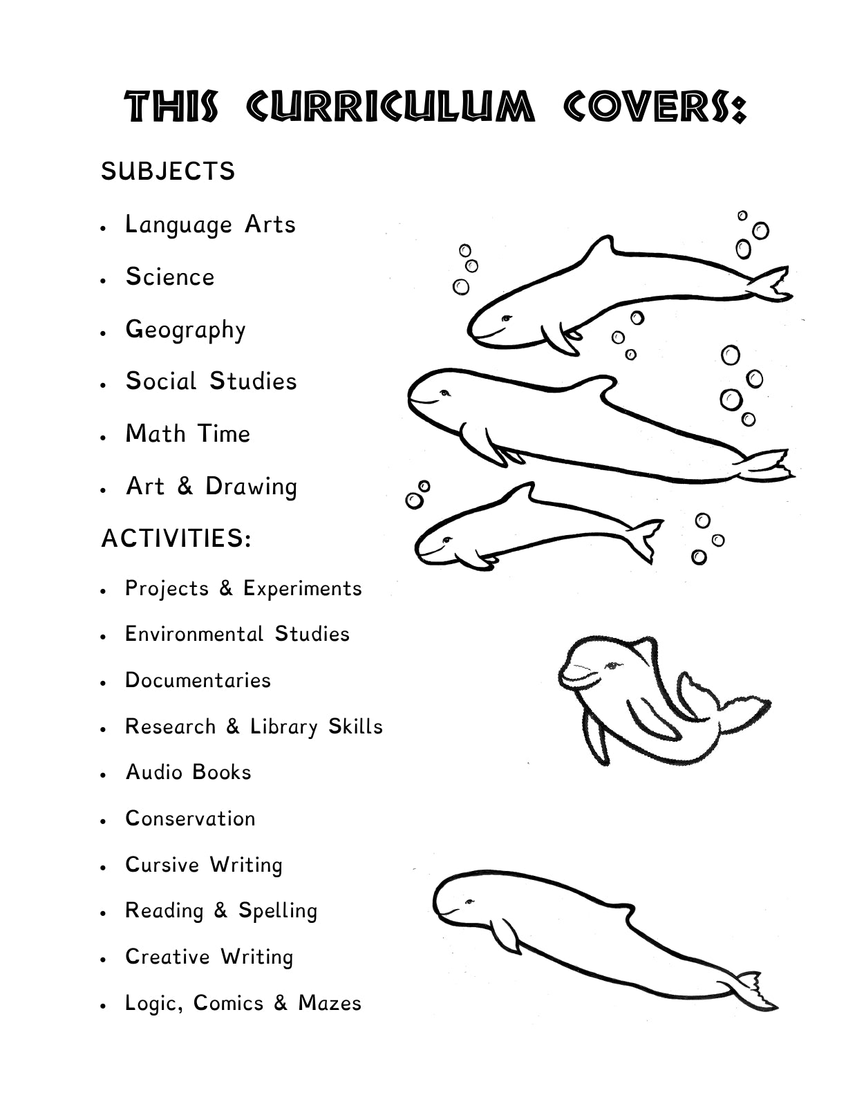 (Age 9+) Homeschooling with Dolphins