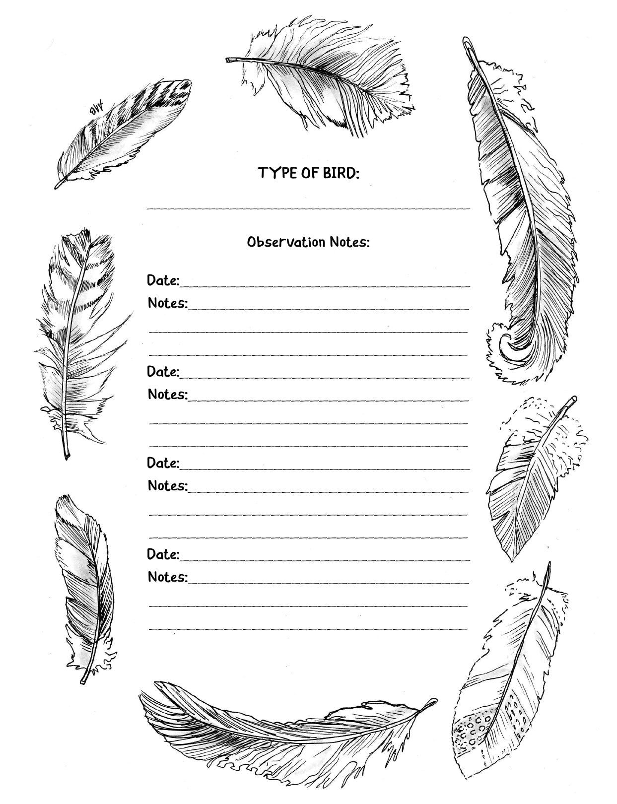 (Age 8+) Bird Watching Journal