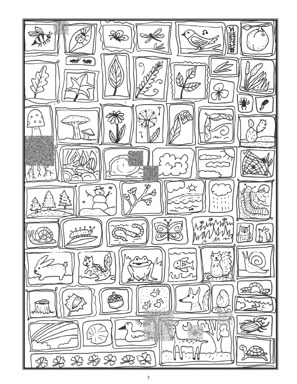 (Age 8+) Nature Study & Outdoor Science