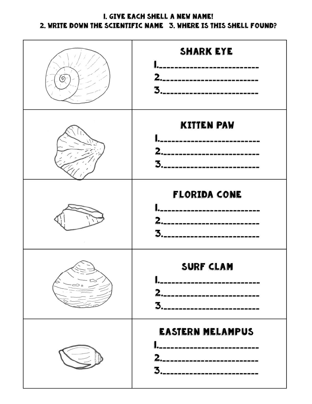 (Age 9+) Nature Study - Seaside Science