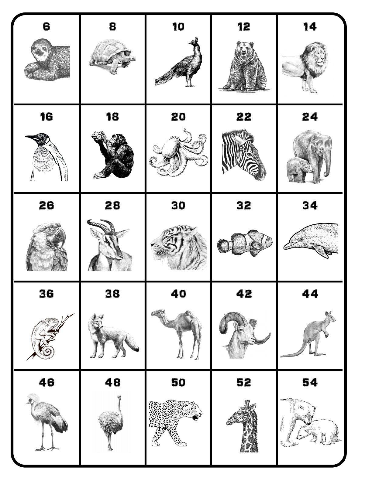 (Age 7+) Field Trip Zoo - Adventure Journal