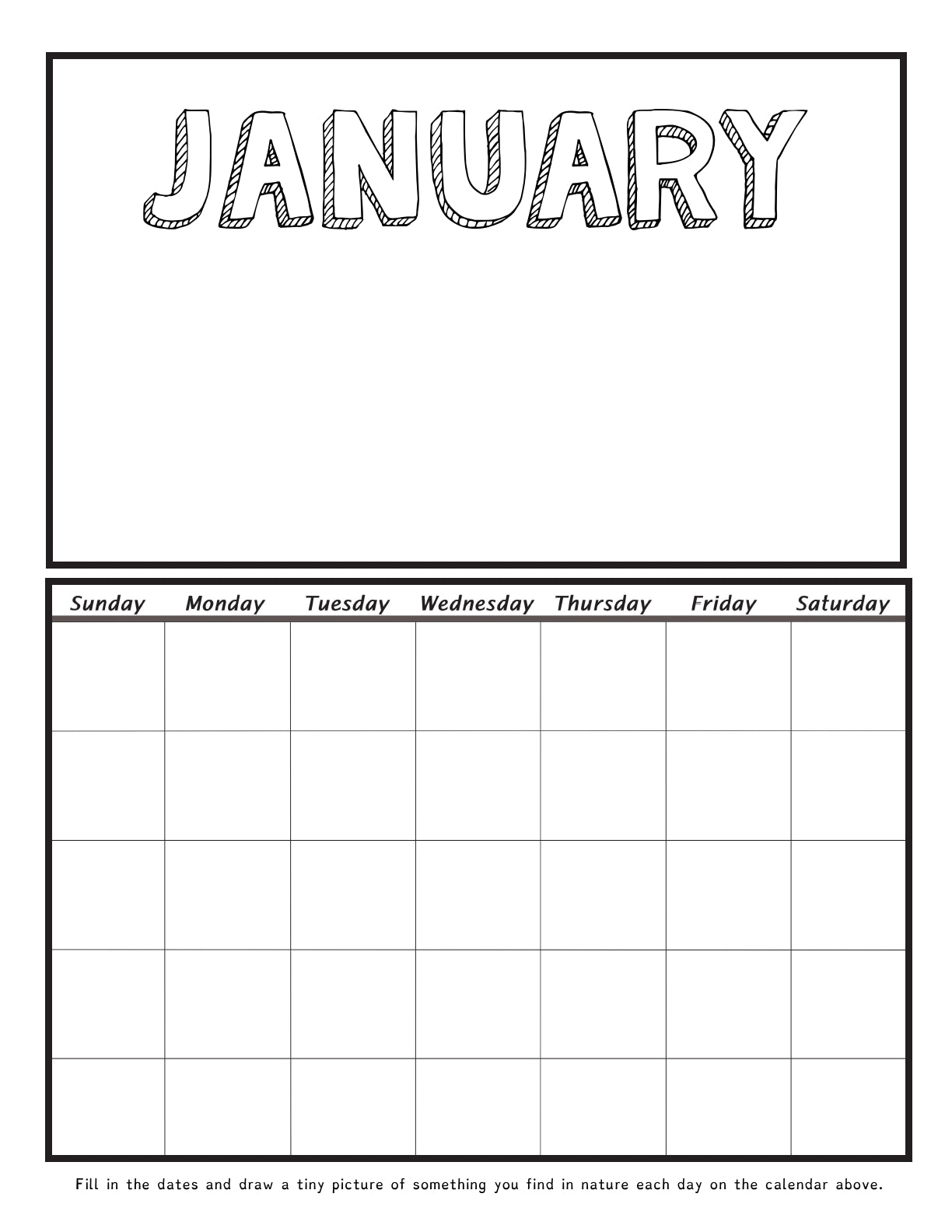 (Age 8+) 12 Months in the Forest