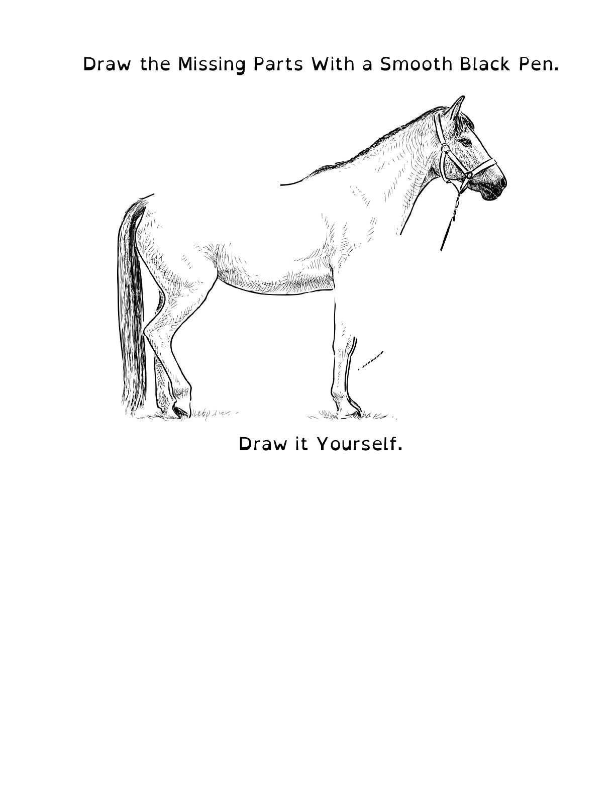 (Age 10+) All About Horses