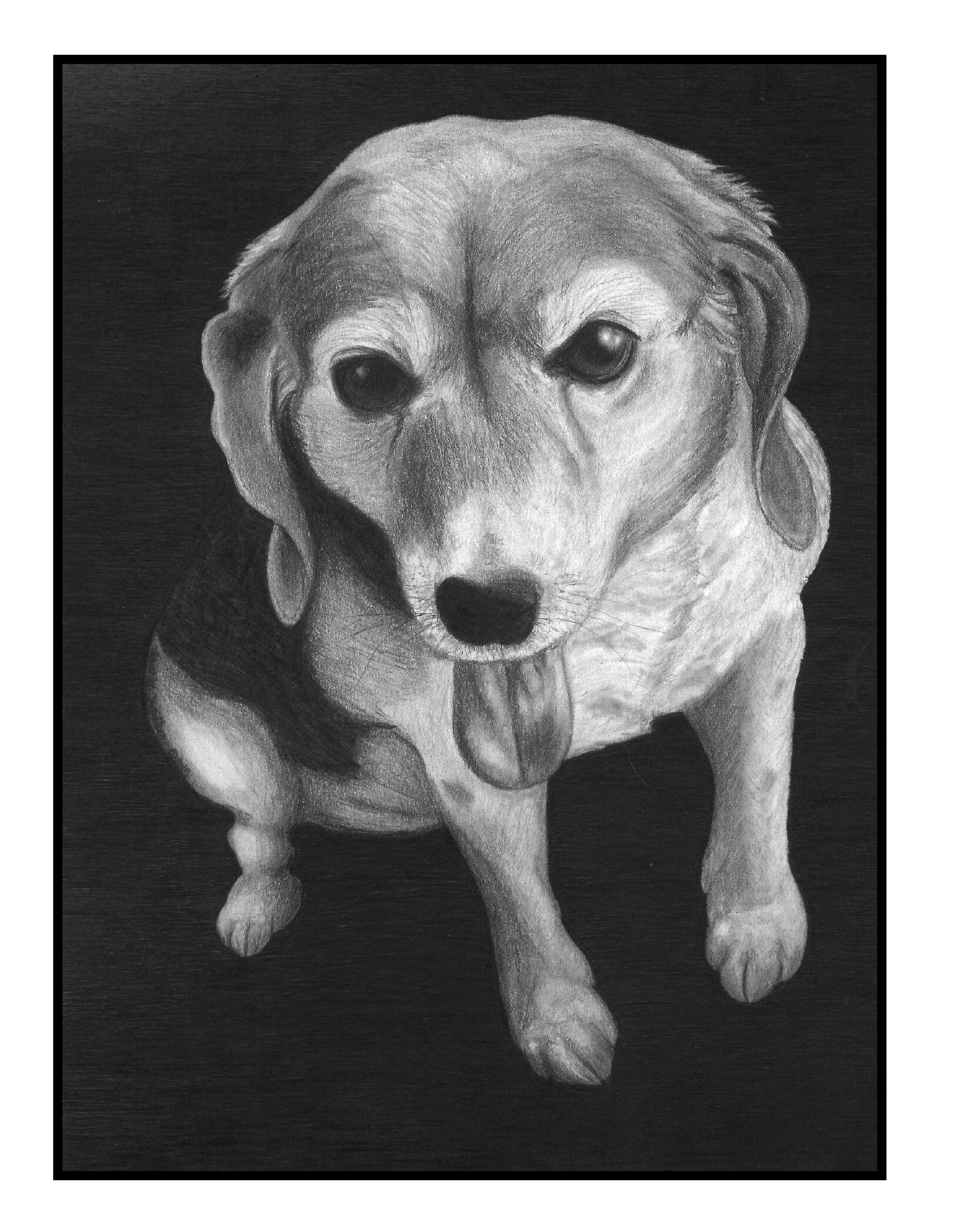 (Age 9+) All About Dogs - Do-It-Yourself Homeschooling