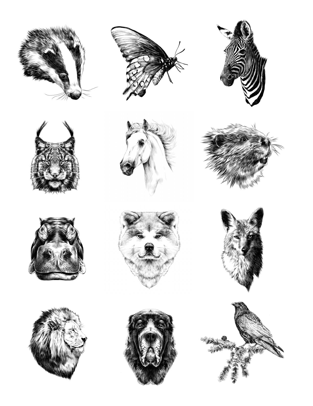 (Age 9+) The Animal Lover's Fun-Schooling Journal