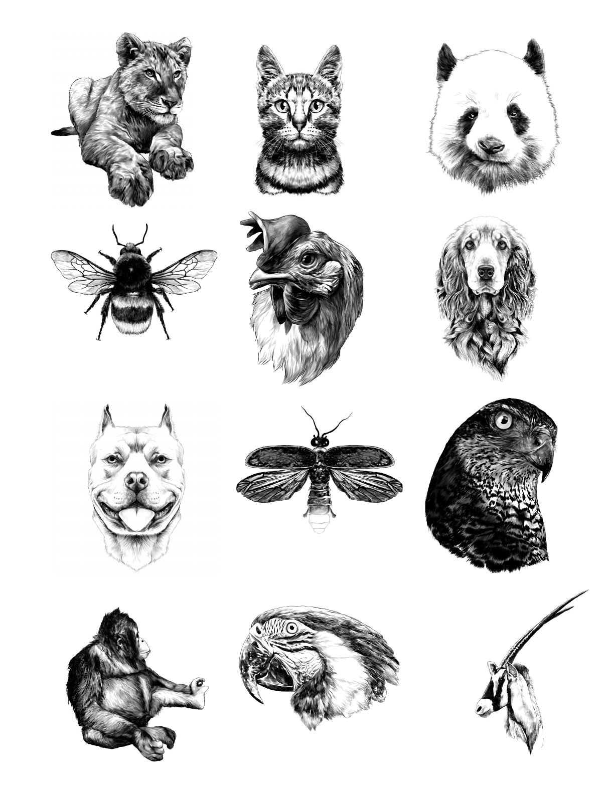 (Age 9+) The Animal Lover's Fun-Schooling Journal