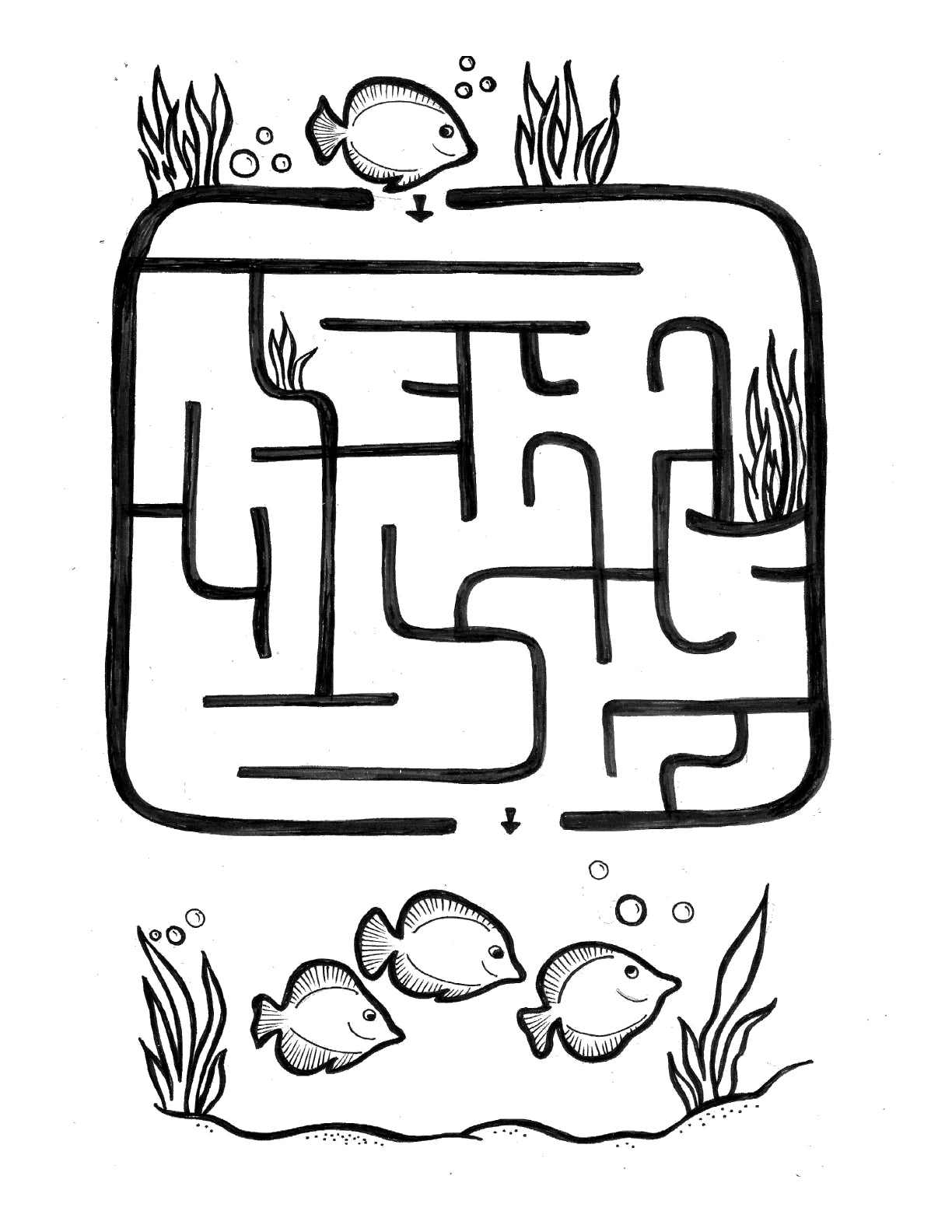 (Age 9+) Homeschooling with Dolphins