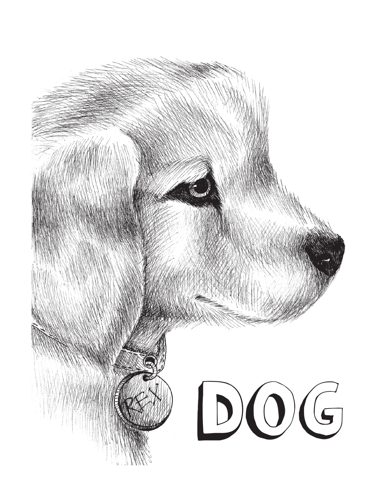 (Age 4+) My First Kindergarten Workbook