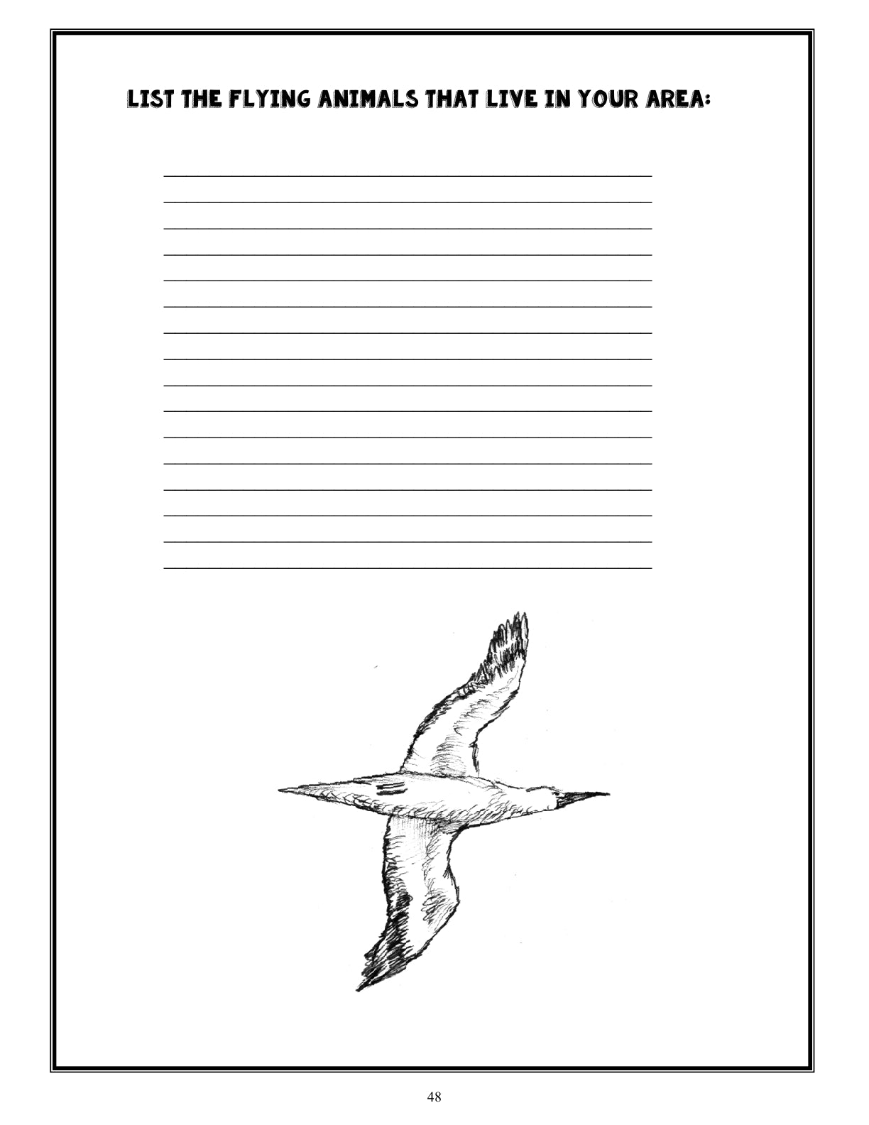 (Age 9+) Nature Study - Seaside Science