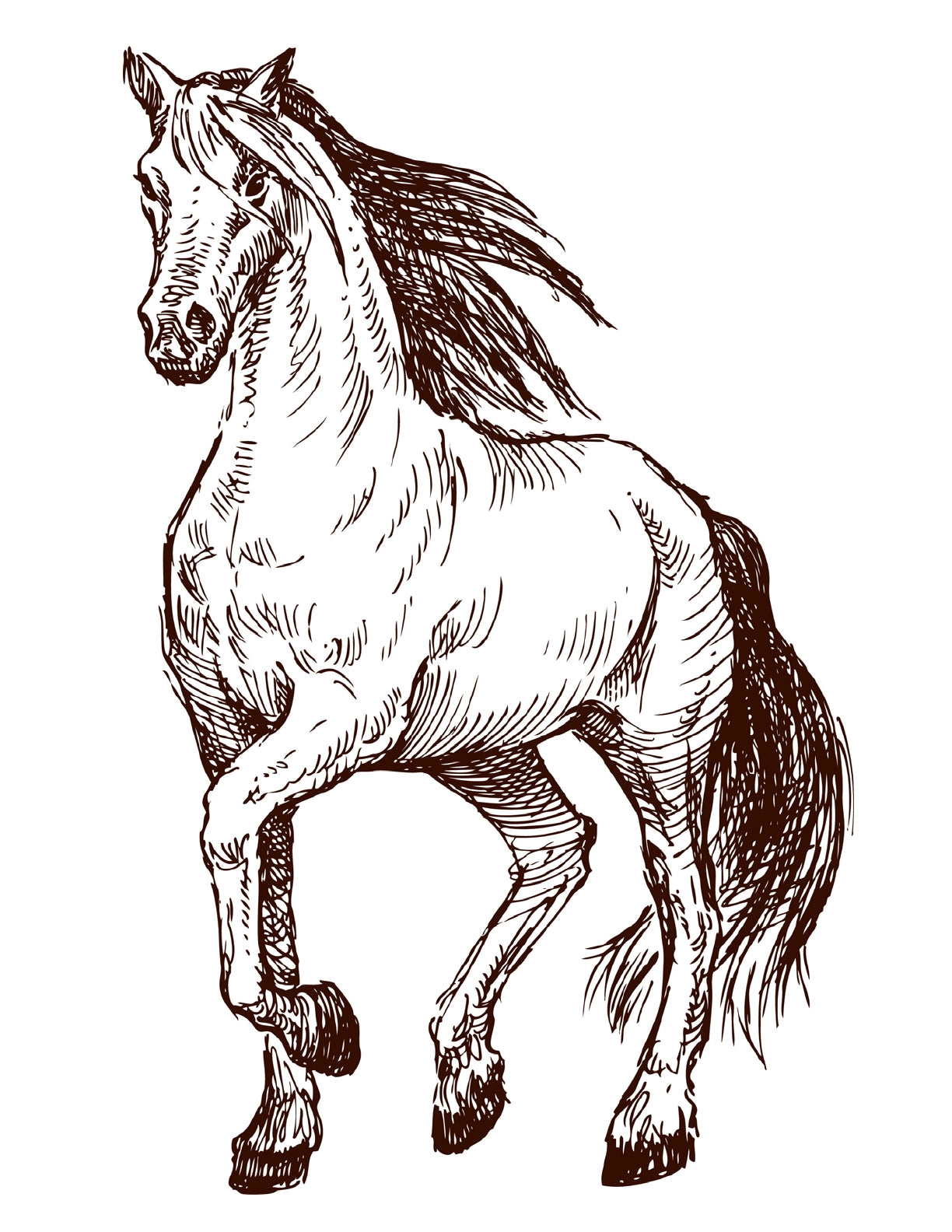 (Age 9+) Homeschooling With Horses