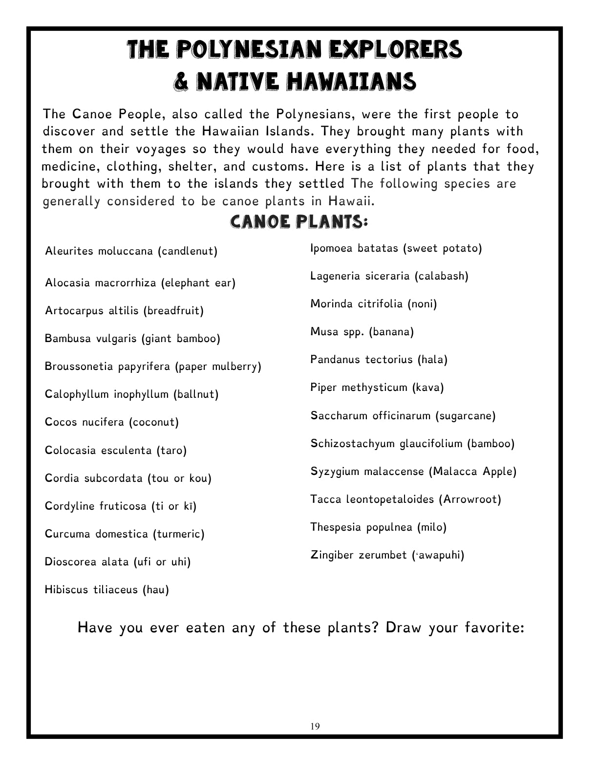 (Age 9+) American History - Do-It-Yourself - Time Travel Journal