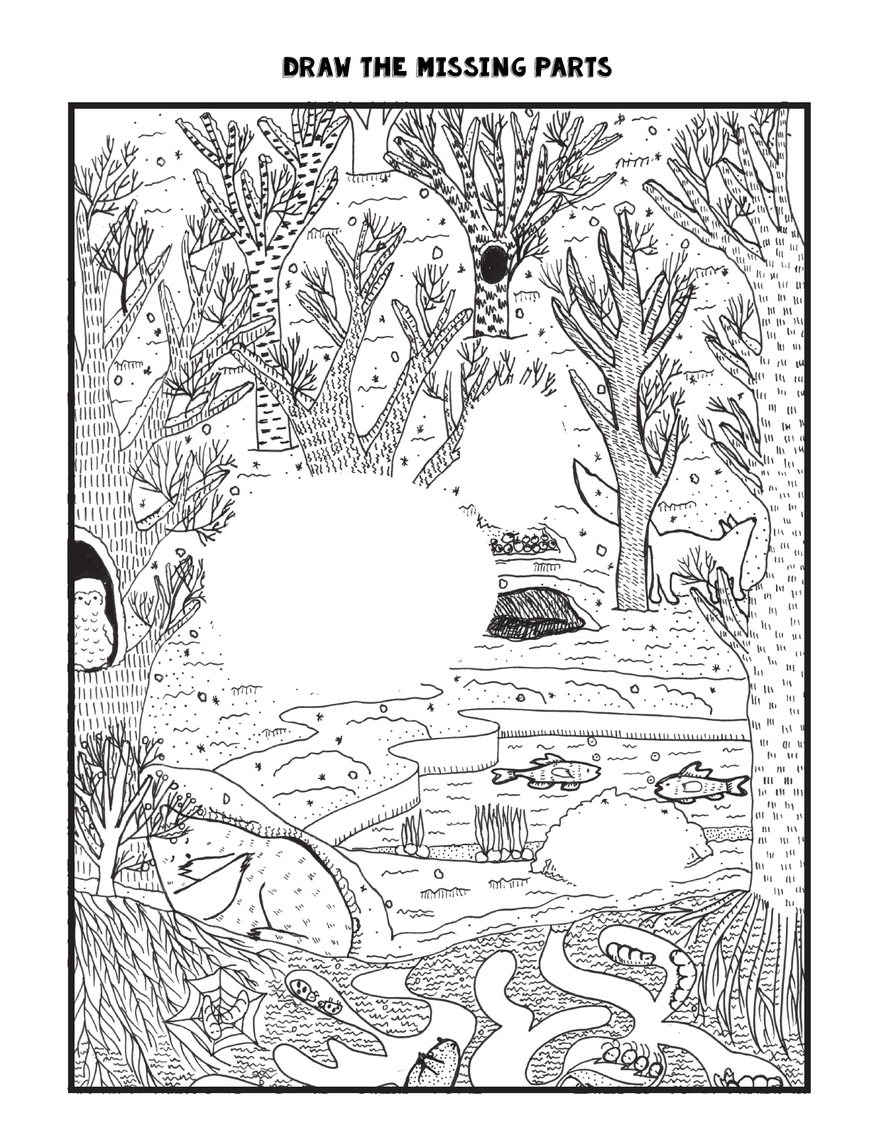 (Age 8+) 12 Months in the Forest