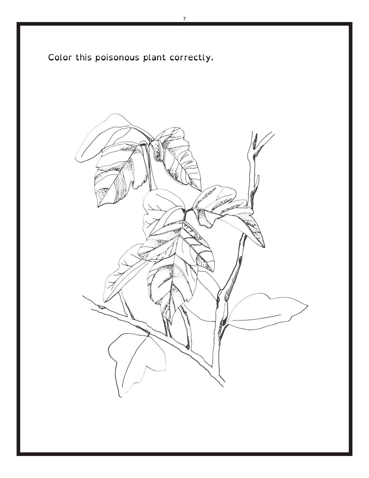 (Age 9+) Wild Wilderness - Adventure Handbook