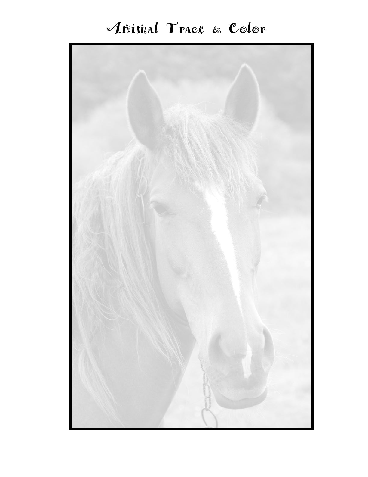 (Age 7+) My First Fun-Schooling ZOO Curriculum