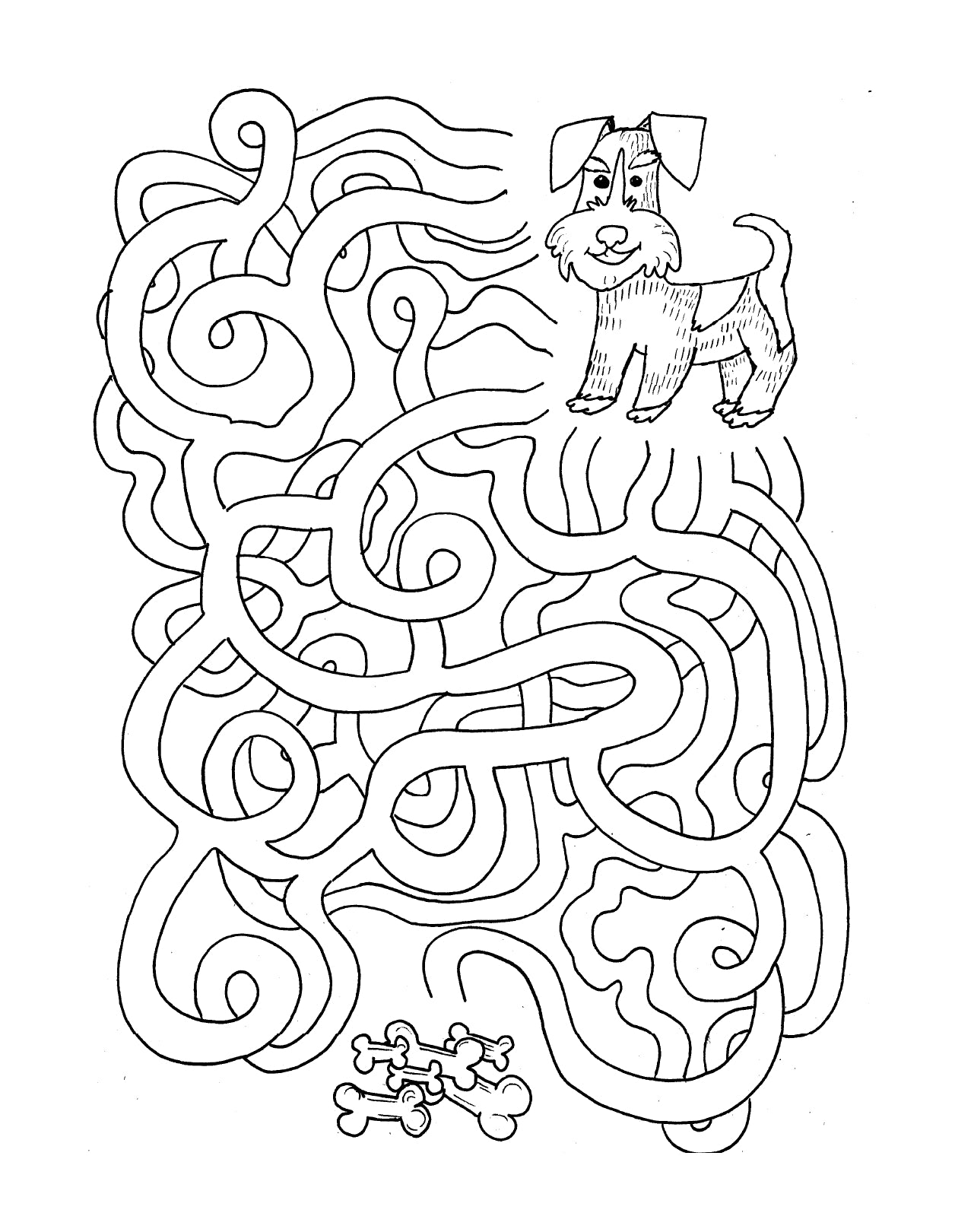 (Age 9+) All About Dogs - Do-It-Yourself Homeschooling