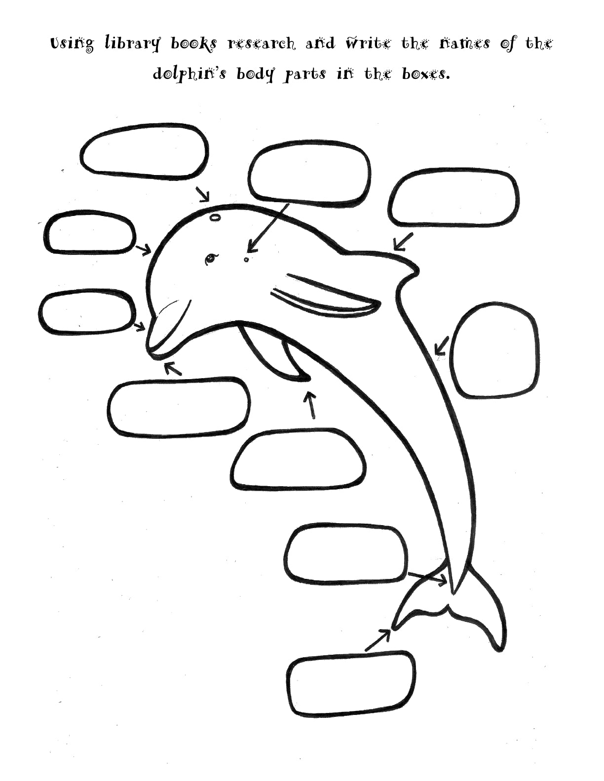 (Age 9+) Homeschooling with Dolphins