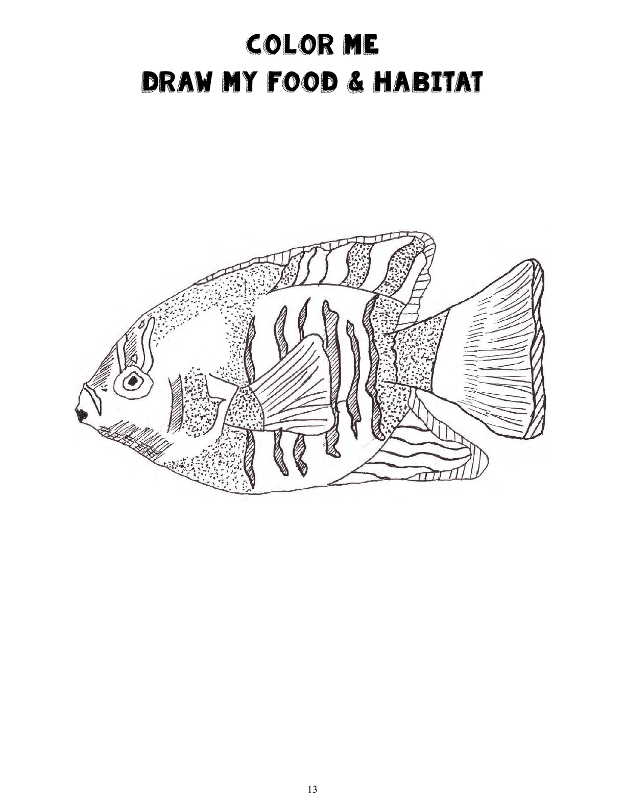 (Age 8+) Nature Study & Outdoor Science