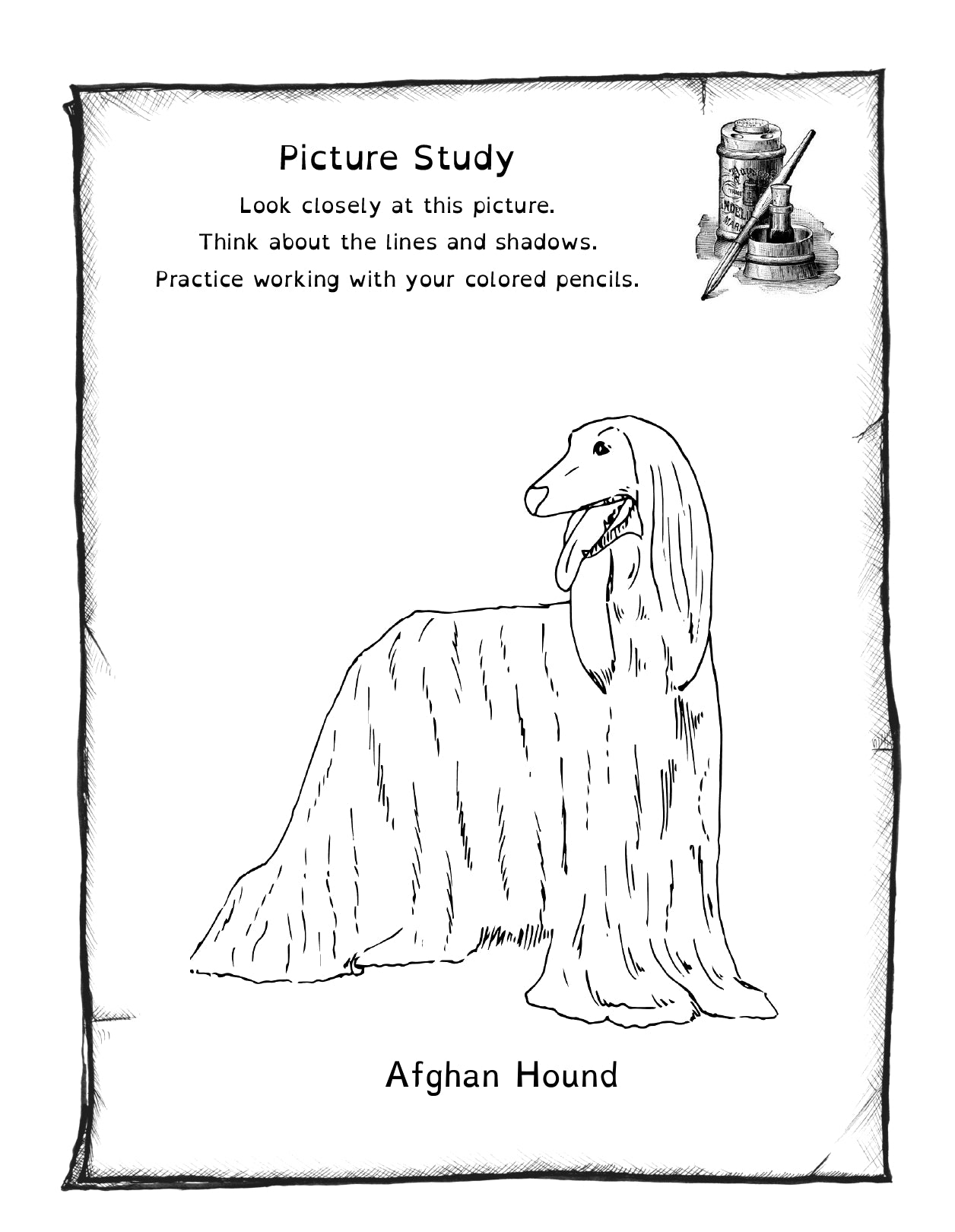 (Age 9+) All About Dogs - Do-It-Yourself Homeschooling