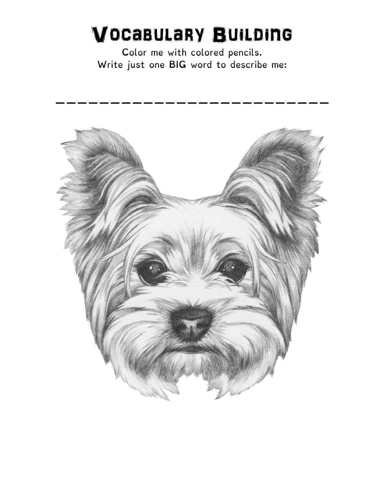 (Age 8+) Homeschooling Active Girls