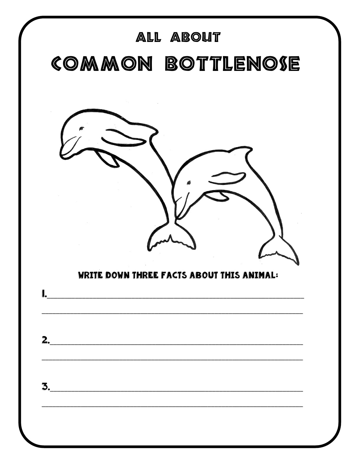 (Age 9+) Homeschooling with Dolphins