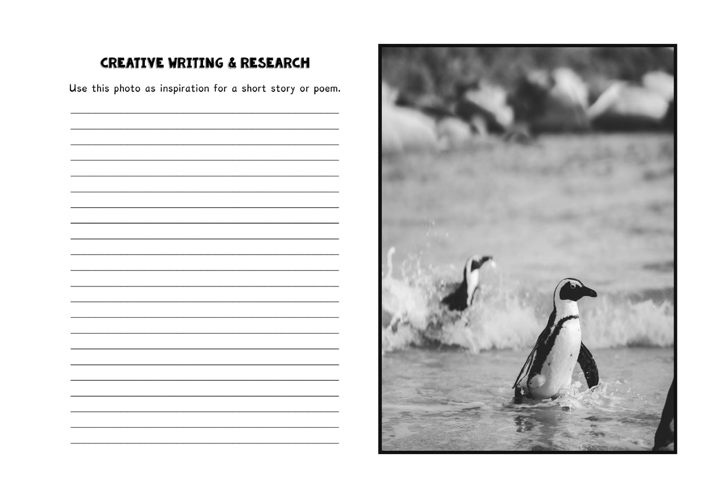 (Age 9+) All About Oceans- Homeschooling Handbook