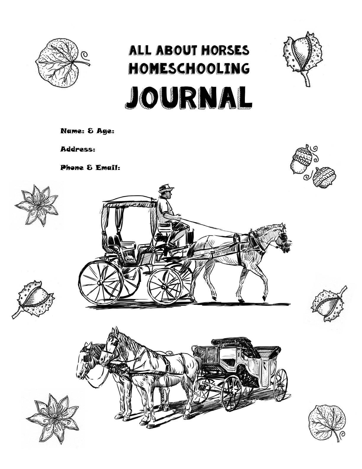 (Age 10+) All About Horses