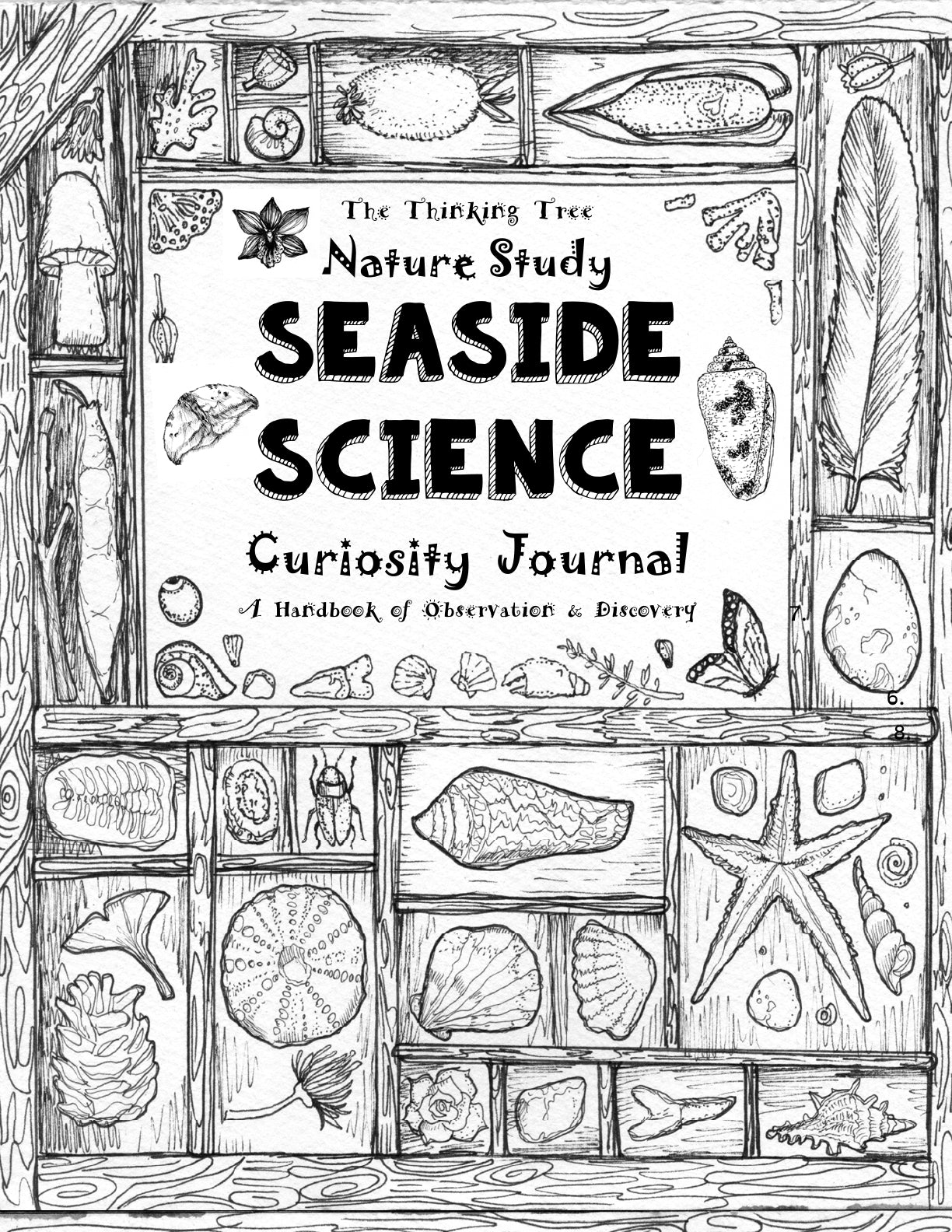 (Age 9+) Nature Study - Seaside Science