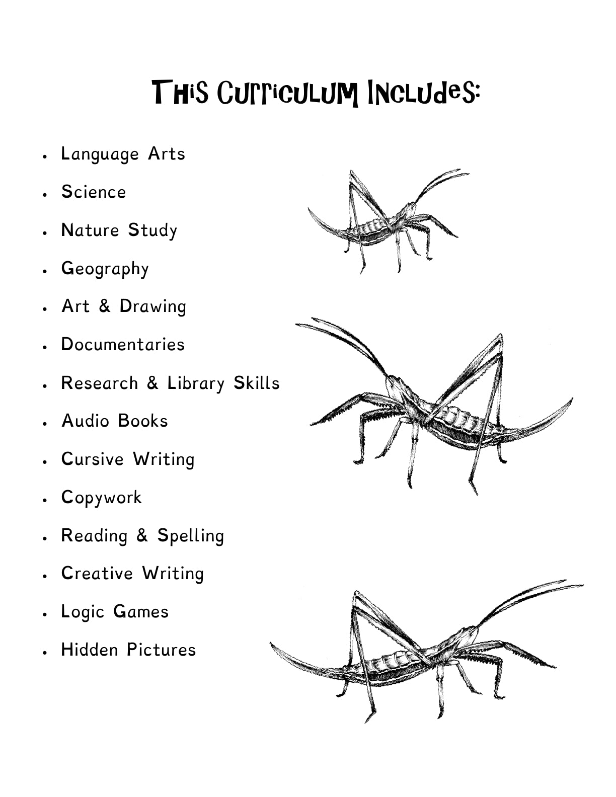 (Age 8+) All About Bugs - Homeschooling Handbook