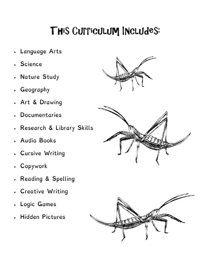 (Age 8+) All About Bugs - Homeschooling Handbook