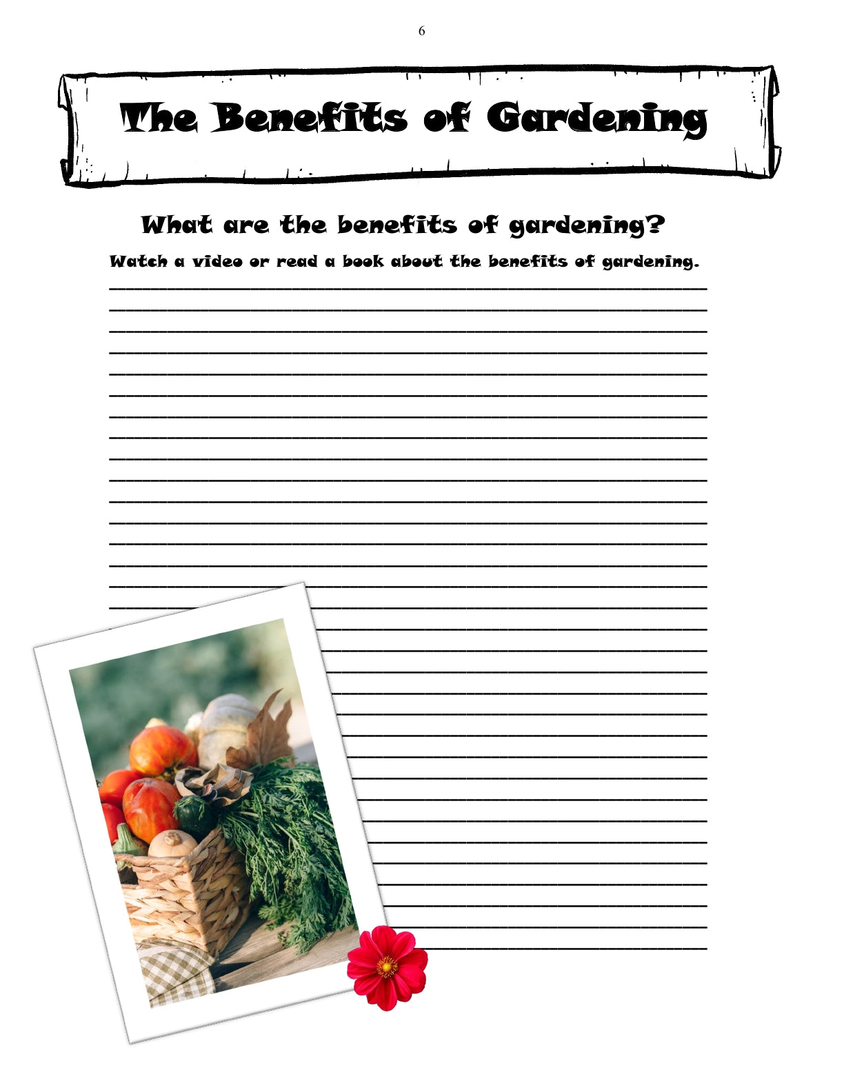 (Age 9+) Do-It-Yourself Garden Research Handbook