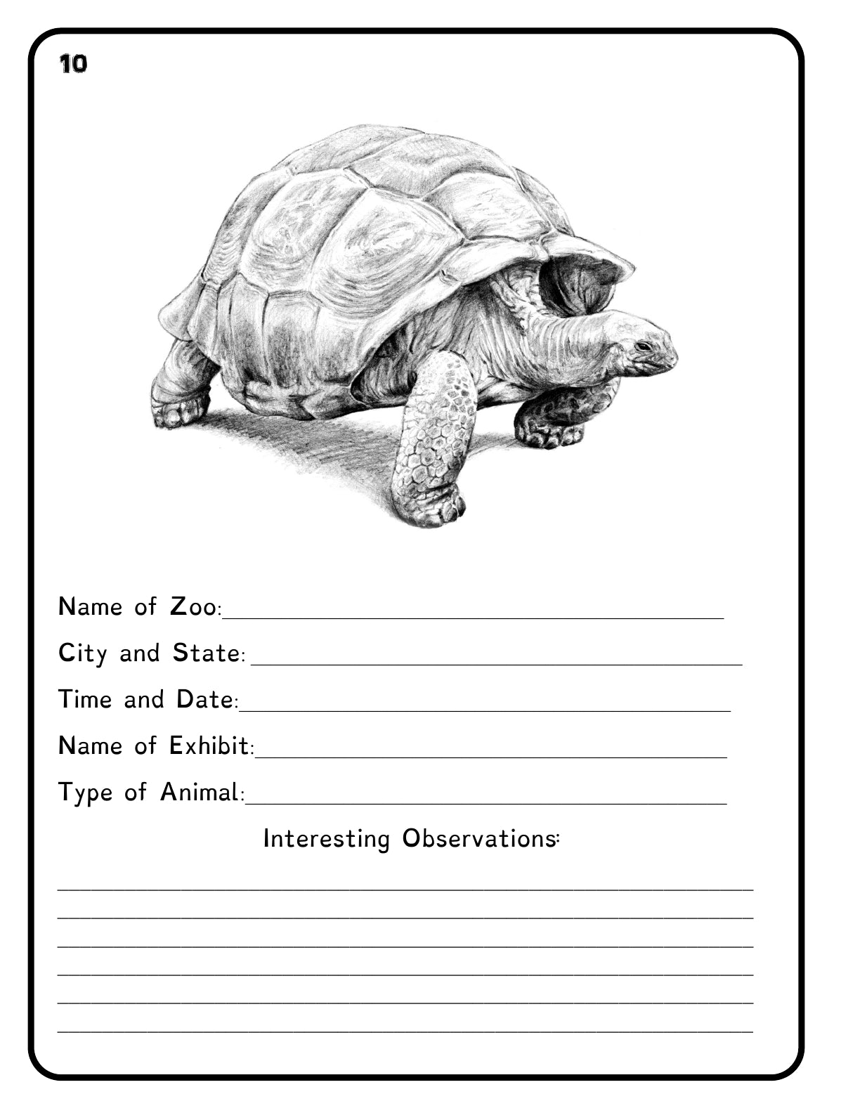 (Age 7+) Field Trip Zoo - Adventure Journal