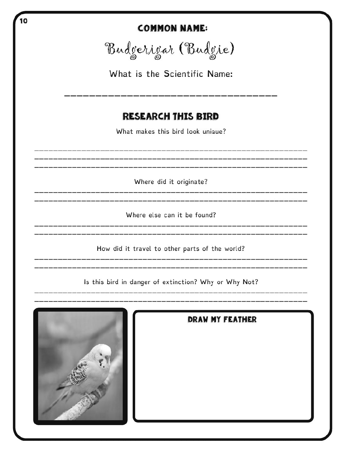 (Age 10+) Tropical Birds Research Journal